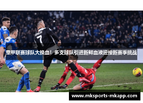 意甲联赛球队大换血!多支球队引进新鲜血液迎接新赛季挑战